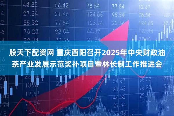 股天下配资网 重庆酉阳召开2025年中央财政油茶产业发展示范奖补项目暨林长制工作推进会